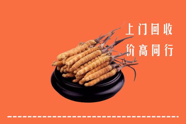 高价求购：阿克苏市回收散虫草