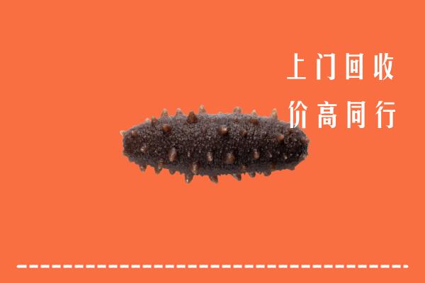高价求购：阿克苏市回收海参