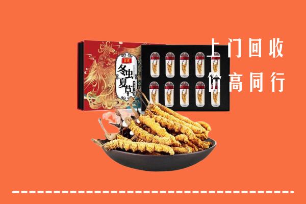 阿克苏市回收虫草